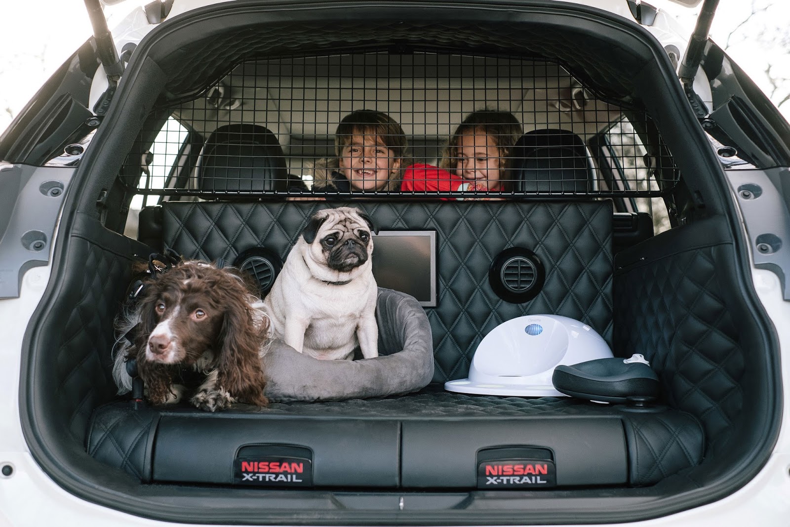 Nissan X Trail 4Dogs1 Ihr Hund hat gesprochen: So will ich reisen!